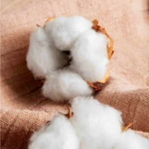 Cotton Yarn (Carded-Combed)