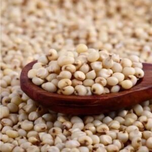 Sorghum Millet(Jowar)