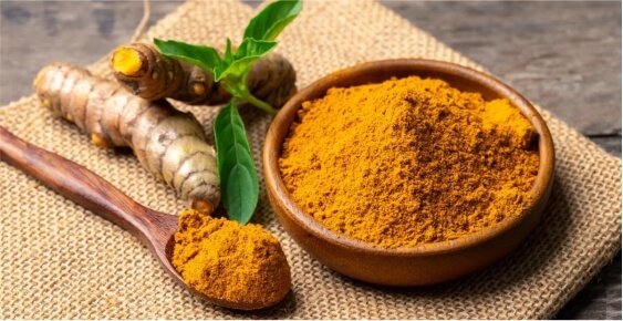 About Us Our Company 02